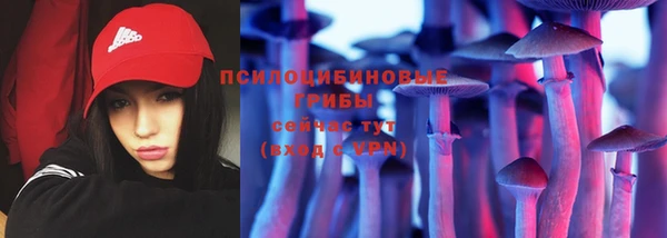 спиды Арсеньев