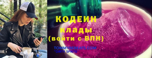 спиды Арсеньев