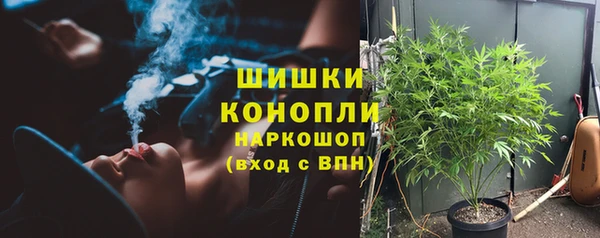 спиды Арсеньев