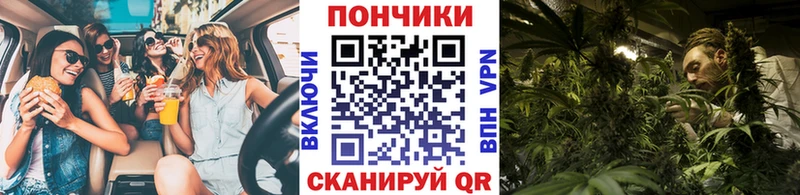 где купить   кракен как зайти  Бошки марихуана план  Покачи 